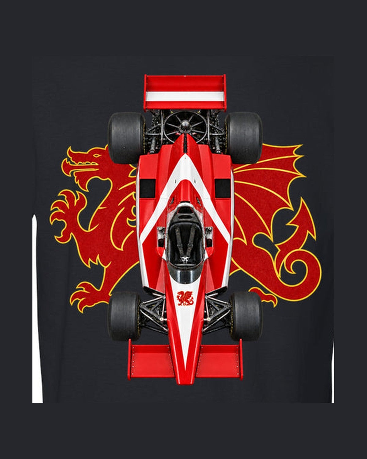 Brabham BT46B 1978 Classic F1 Overhead Poster Shirt, Formula 1 Tee design only