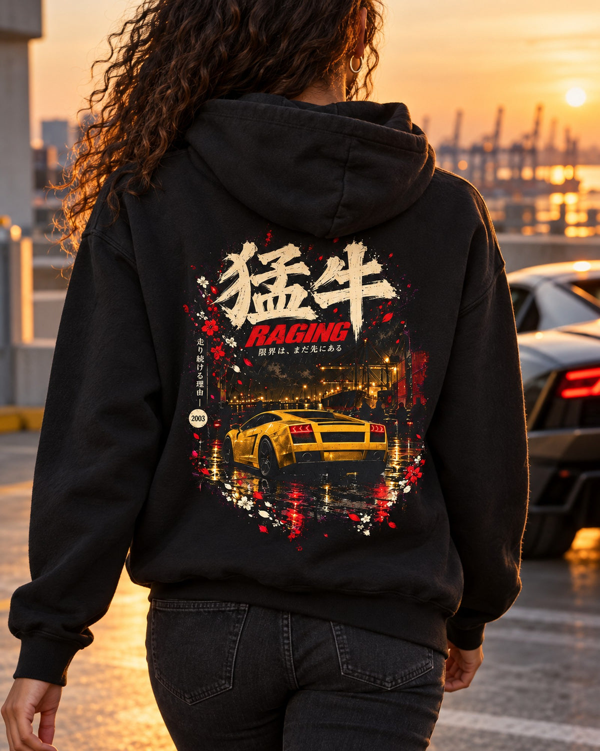 Lamborghini Gallardo Raging Shirt, Hoodie & More Pull Over Hoodie Black worn hero