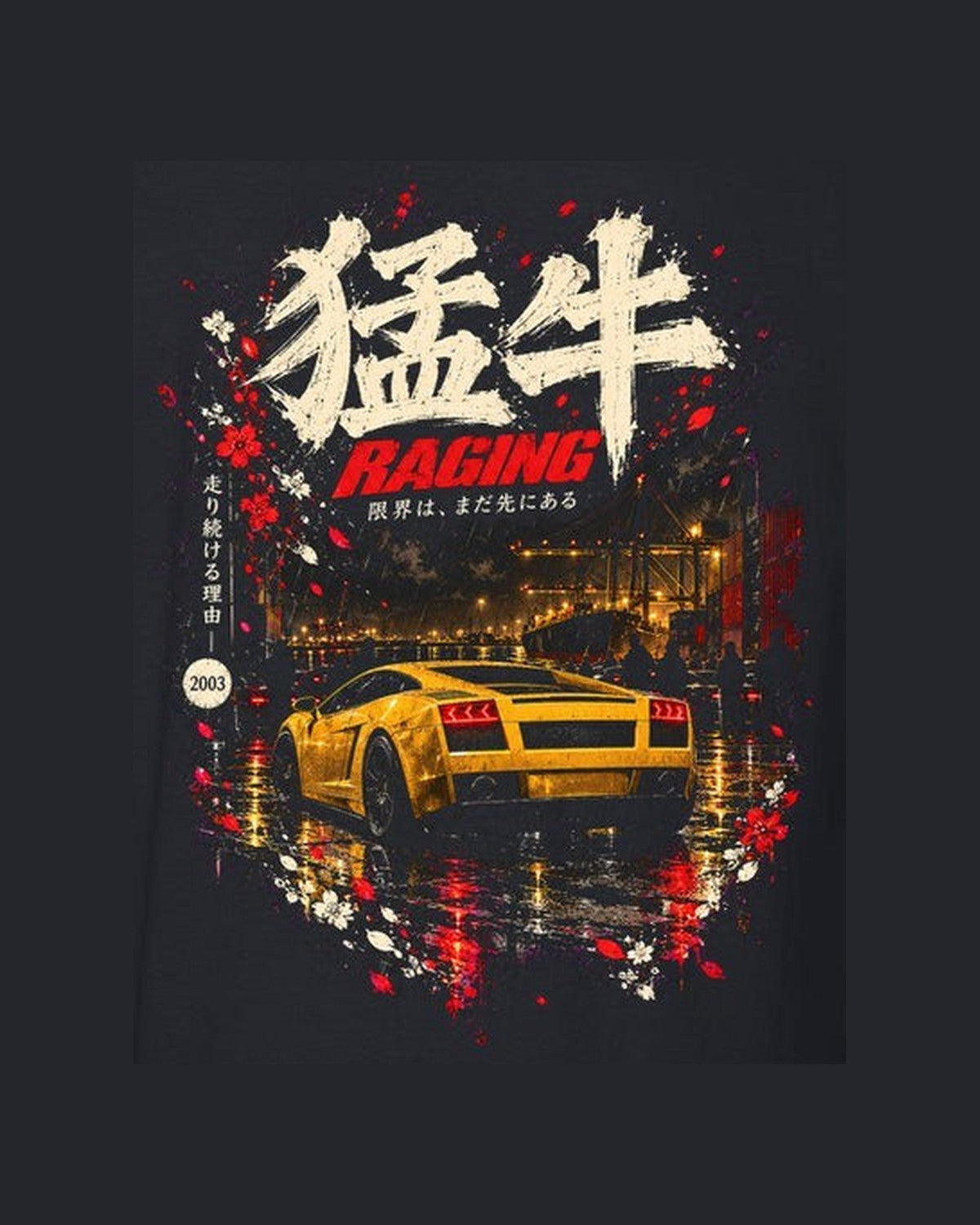Lamborghini Gallardo Raging Shirt, Hoodie & More design only