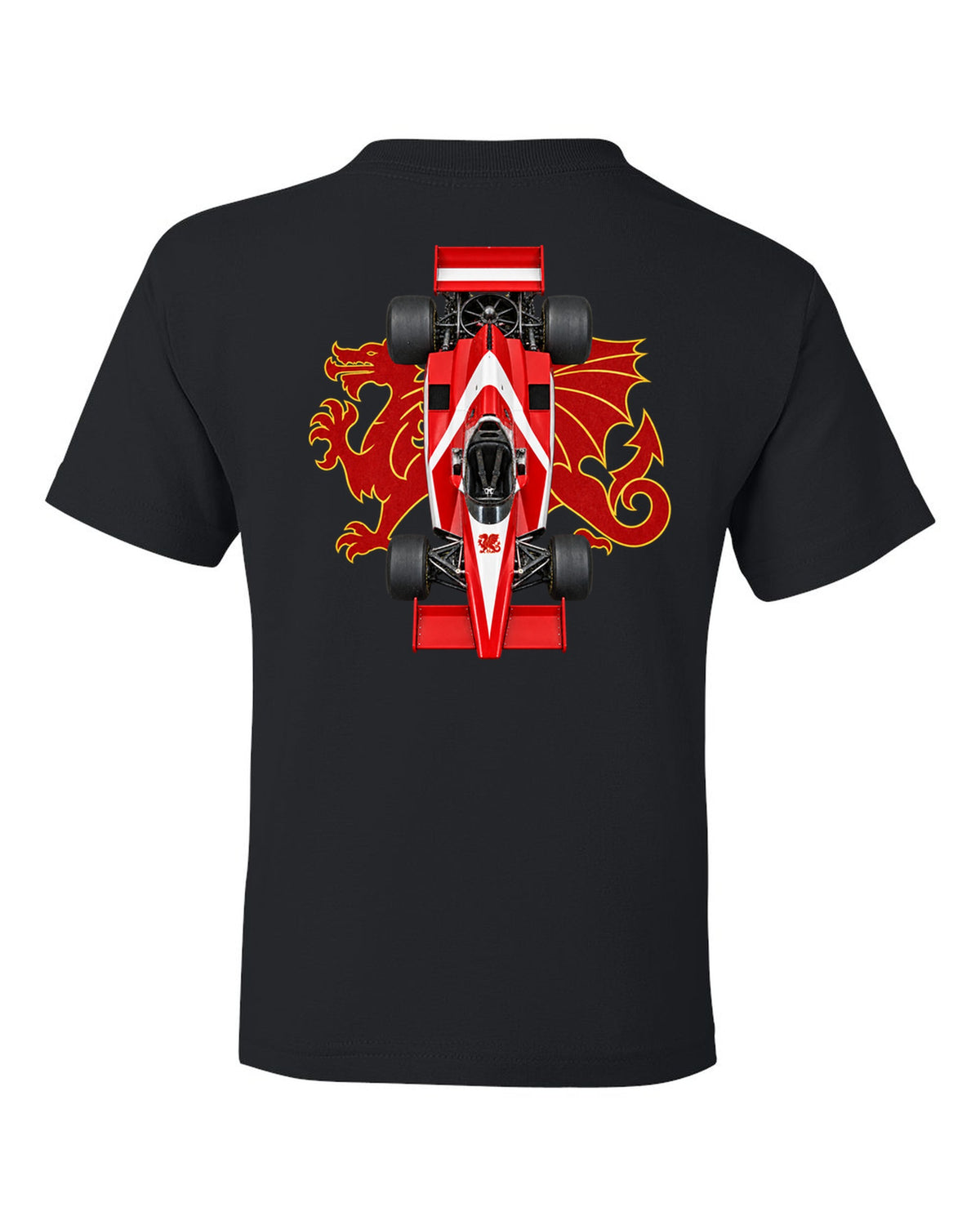 Brabham BT46B 1978 Formula 1 overhead poster artwork black kids tee back view with the design