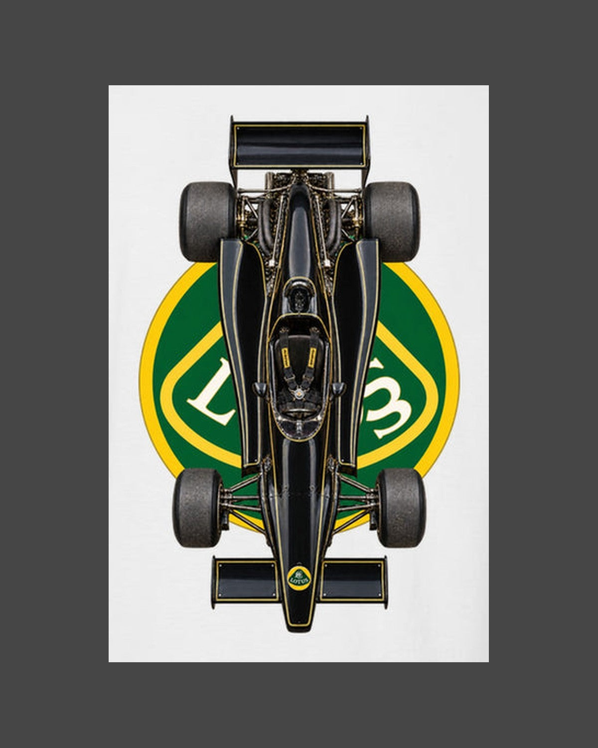 Lotus 79 1978 Classic F1 Overhead Poster Shirt, Formula 1 Tee design only