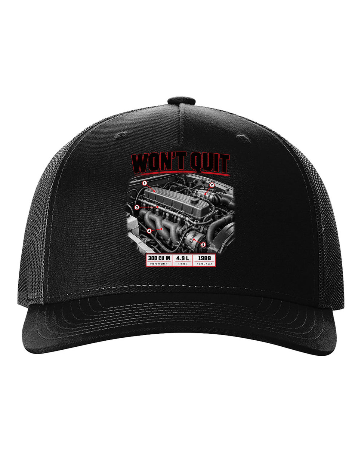 Engine print of a 1987-91 Ford F-150 Brick-Nose 4.9 inline six with 300 cu in text black hat front view with the design