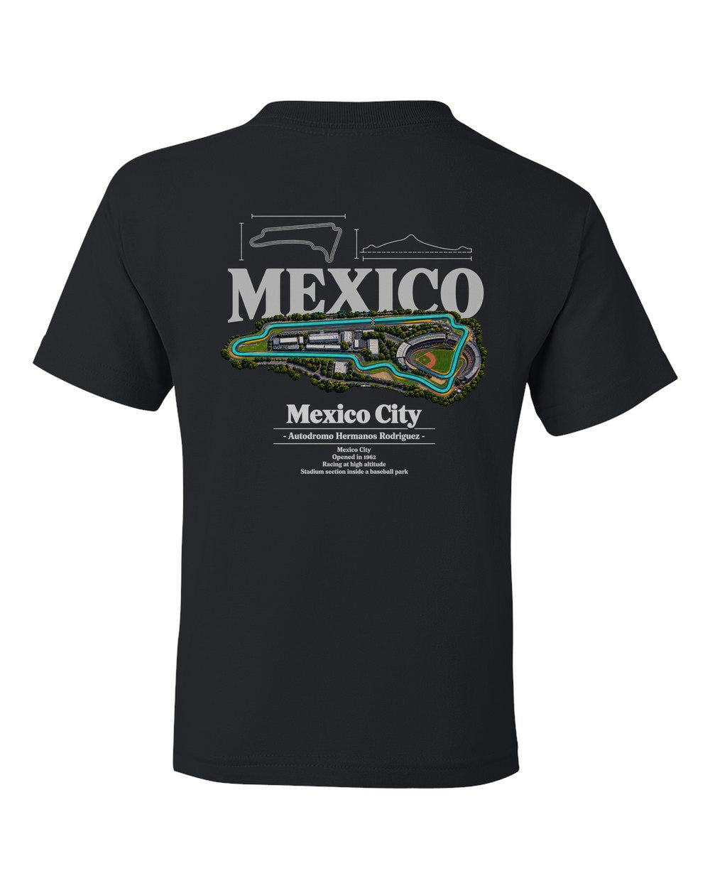 Mexico City black kids tee back view with the design