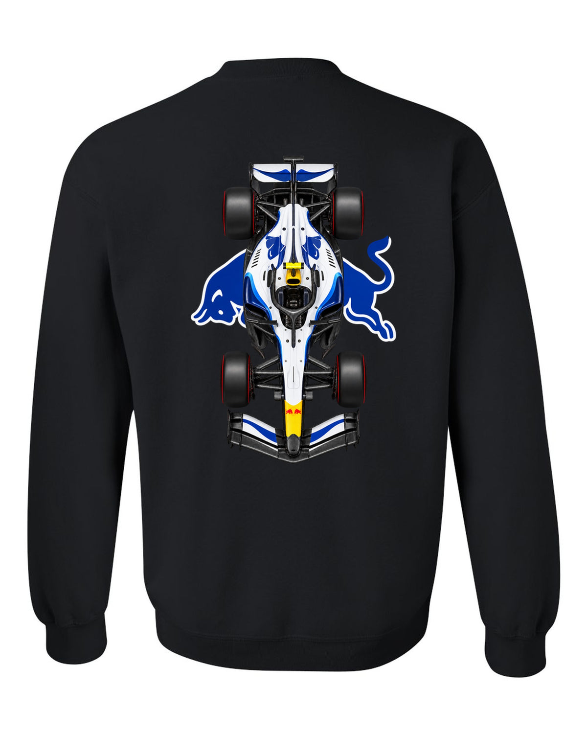 Racing Bulls VCARB 03 Formula 1 overhead poster artwork black crewneck back view with the design
