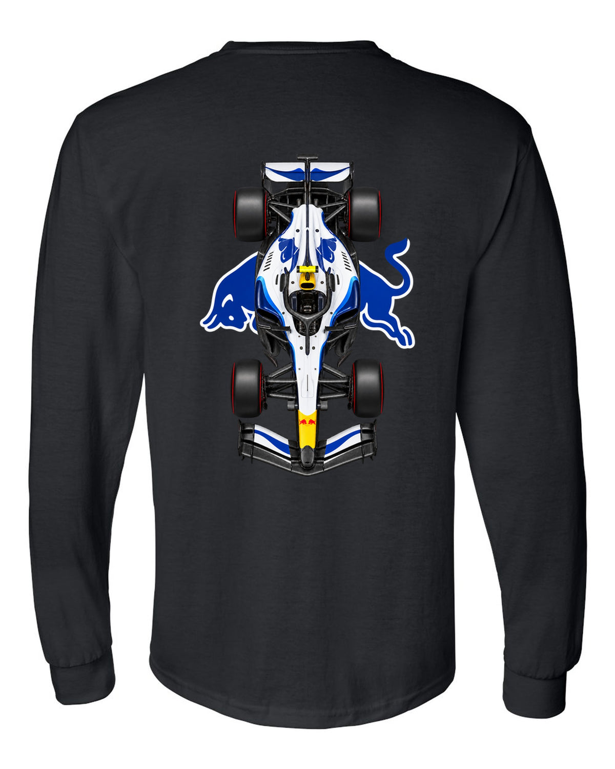 Racing Bulls VCARB 03 Formula 1 overhead poster artwork black long sleeve back view with the design