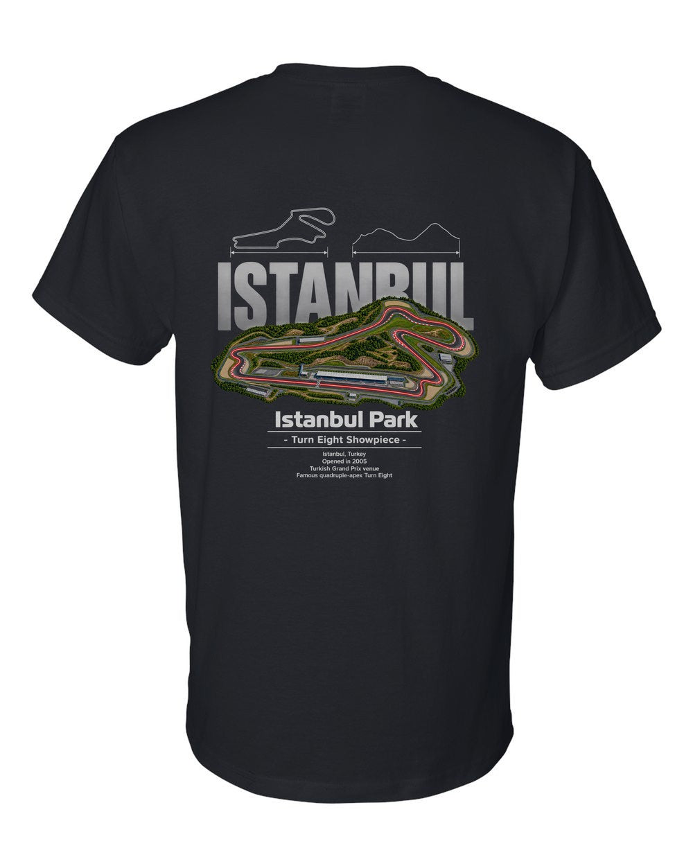 Istanbul Park black t-shirt back view with the design